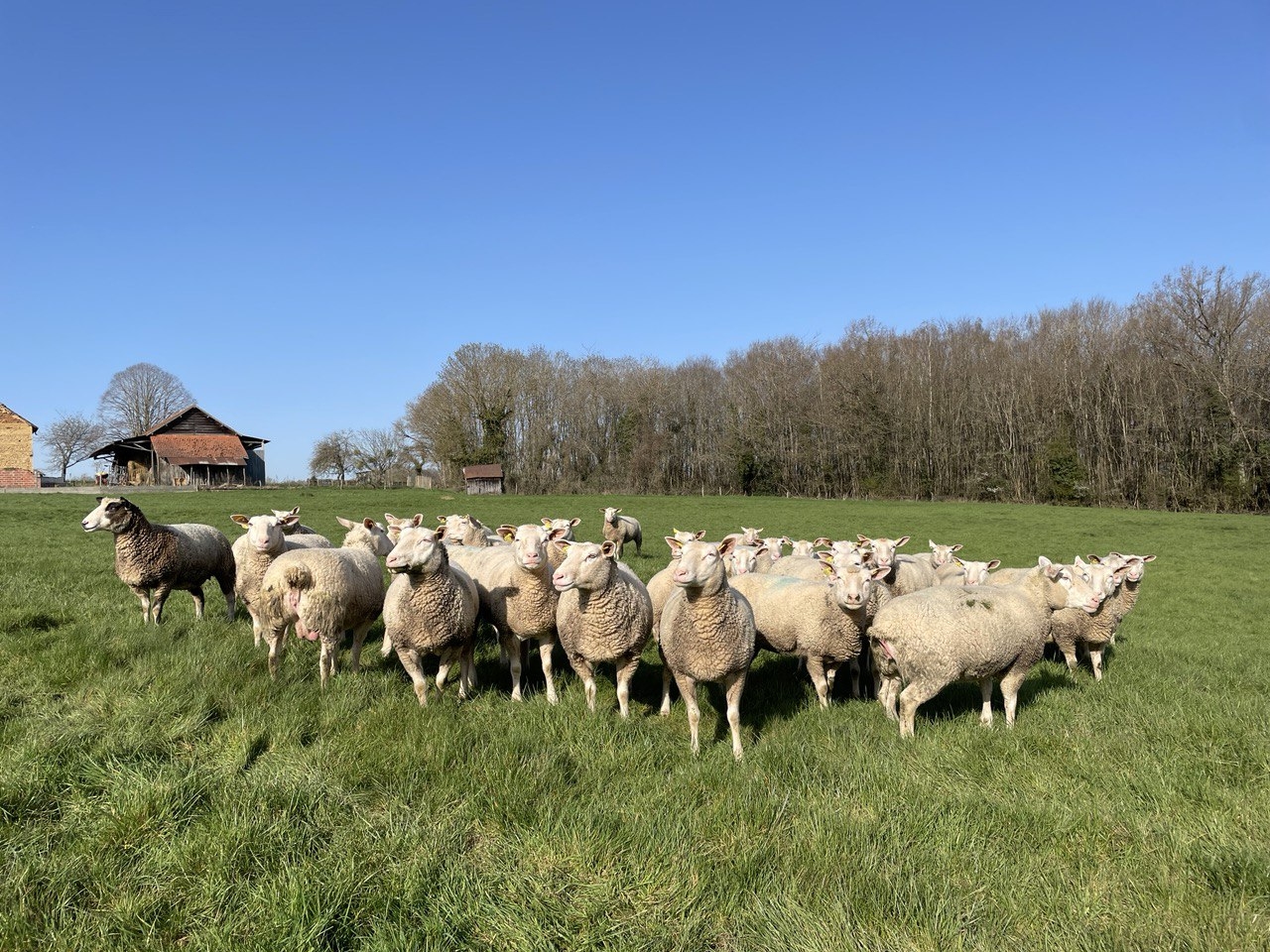 Les Berrichons du Cher sont de sortie